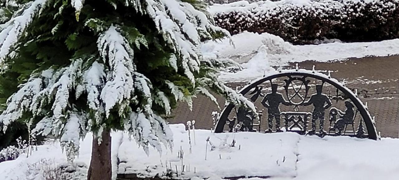 Fewo Harz Haennig 1 Wieda Exterior foto
