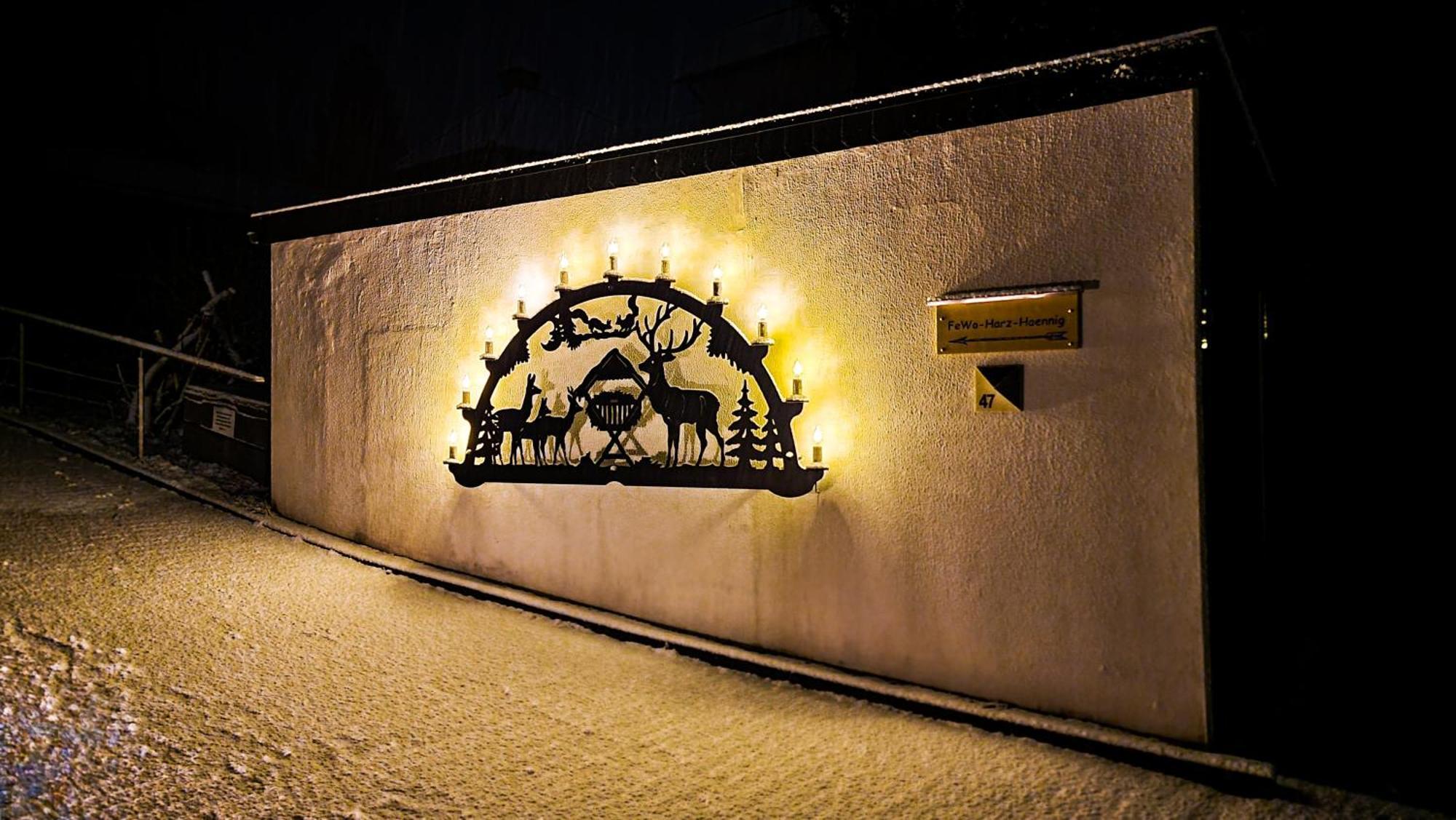 Fewo Harz Haennig 1 Wieda Exterior foto