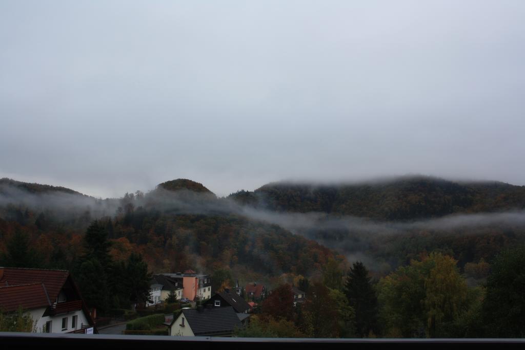 Fewo Harz Haennig 1 Wieda Exterior foto